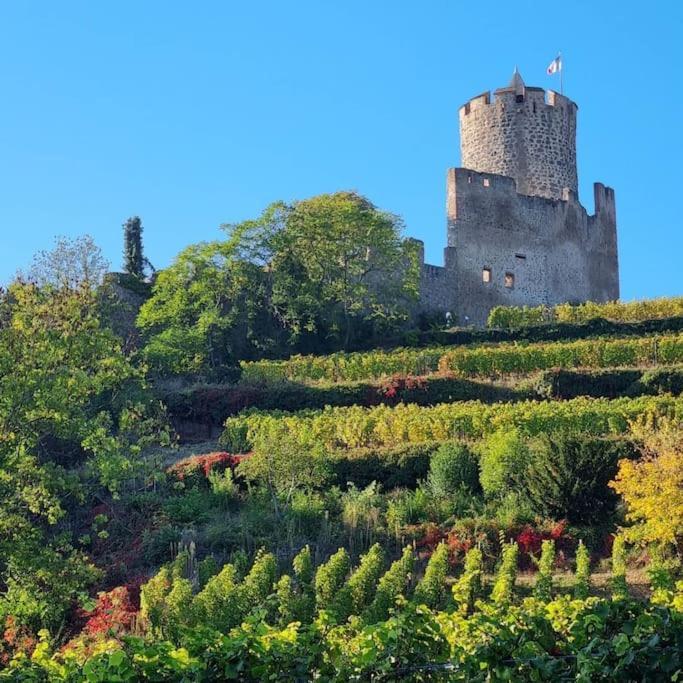 La Jolie Maison Bleue, Au Coeur De L'Alsace Kaysersberg-Vignoble Exteriör bild
