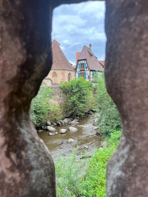 La Jolie Maison Bleue, Au Coeur De L'Alsace Kaysersberg-Vignoble Exteriör bild