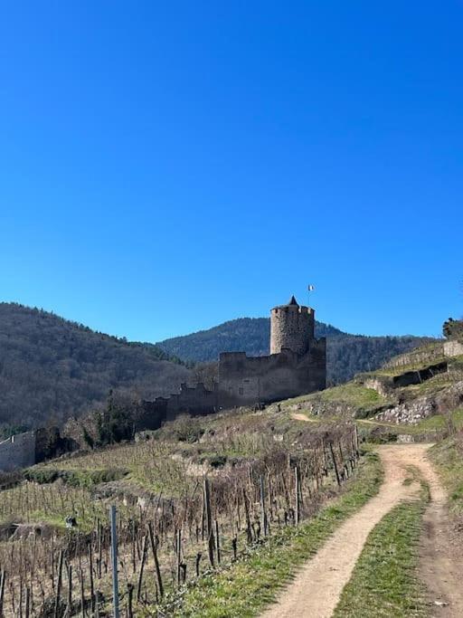 La Jolie Maison Bleue, Au Coeur De L'Alsace Kaysersberg-Vignoble Exteriör bild